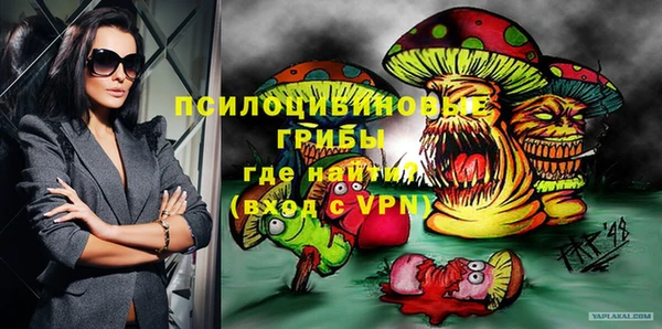 гашик Иннополис
