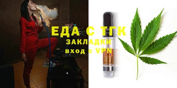 дмт Инта