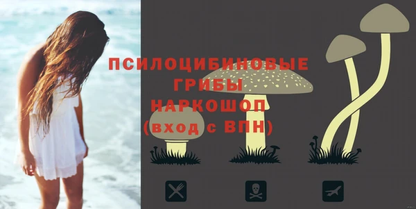 хмурый Зеленодольск