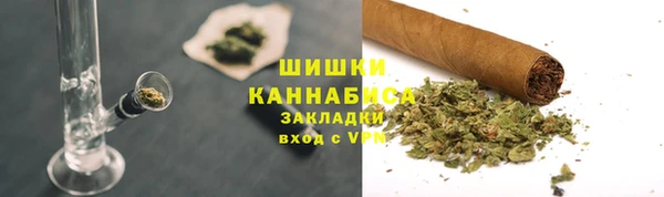 дмт Инта
