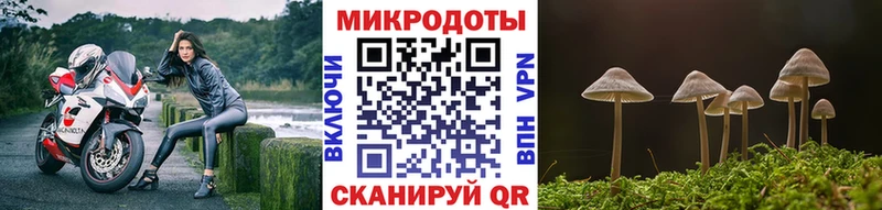 Галлюциногенные грибы мухоморы  Купить закладки  Мышкин 